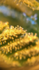 IMG_0109.PNG