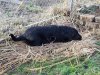 20170402_085136.jpg