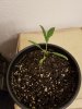 20170208_121355.jpg 20170208_121355.jpg