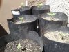 20170405_142437.jpg