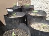 20170405_142434.jpg