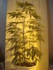 03-15 NEVILLES HAZE.JPG