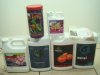 DSC02044.JPG