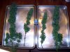 harvest1.jpg