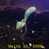 3-15-09d.jpg