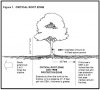 Tree-Protection-Zone.jpg