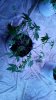20170407_225247.jpg