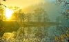 beautiful_scotland_lake_trees-1920x1200.jpg