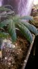 WP_20170410_022.jpg