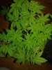 20170411_092432.jpg
