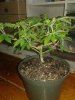 20170411_092326.jpg