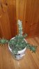 20170411_132455.jpg