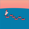 IMG_0237.GIF