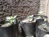 20170412_121307.jpg