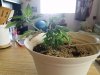 20170315_163000.jpg