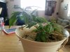 20170315_163017.jpg