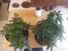 20170407_135414.jpg