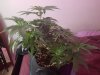20170412_145037.jpg