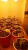 20170413_153339.jpg