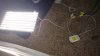 IMG_20170415_012940747.jpg