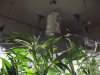 DSCF9822.JPG