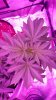 20170417_140636.jpg