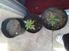 20170420_121445.jpg