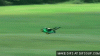 flying-lawnmower-o.gif