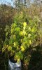 20160922_165258.jpg 20160922_165258.jpg