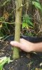 20161001_115755.jpg 20161001_115755.jpg