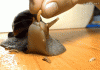 orig.58ef22ecea3c7_tumblr_nkdy2qee7j1s2yegdo1_500.gif
