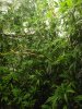DSCF9952.JPG