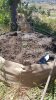 20170420_120458.jpg