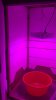 IMG_6226.JPG IMG_6226.JPG