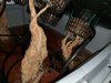 IMG_20170424_195244.jpg