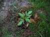 DSCF3948.JPG