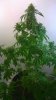 WP_20170422_022.jpg