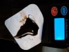 IMG_20170427_055512.jpg