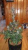20170430_112409.jpg