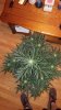 20170430_112321.jpg