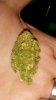 20170501_002334.jpg