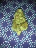 IMG_20170502_132207.jpg