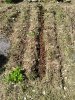 2017-05-01 11.42.59.jpg 2017-05-01 11.42.59.jpg