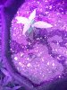 IMG_20170503_111058.jpg