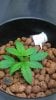 20170503_133011_Burst01.jpg
