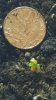 20170329_140028.jpg
