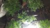 20170504_222947.jpg