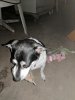 IMG_20170505_004049.jpg
