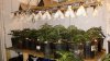 20170506_083724.jpg