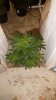 20170506_083637.jpg
